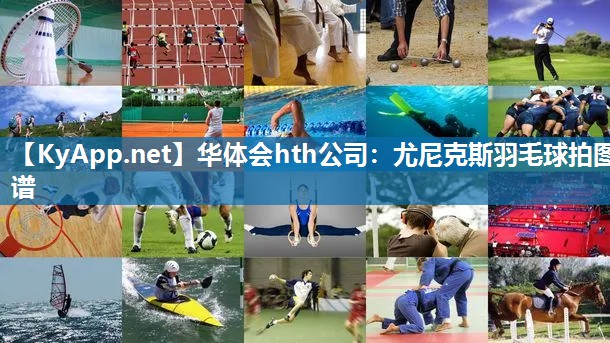 尤尼克斯羽毛球拍图谱